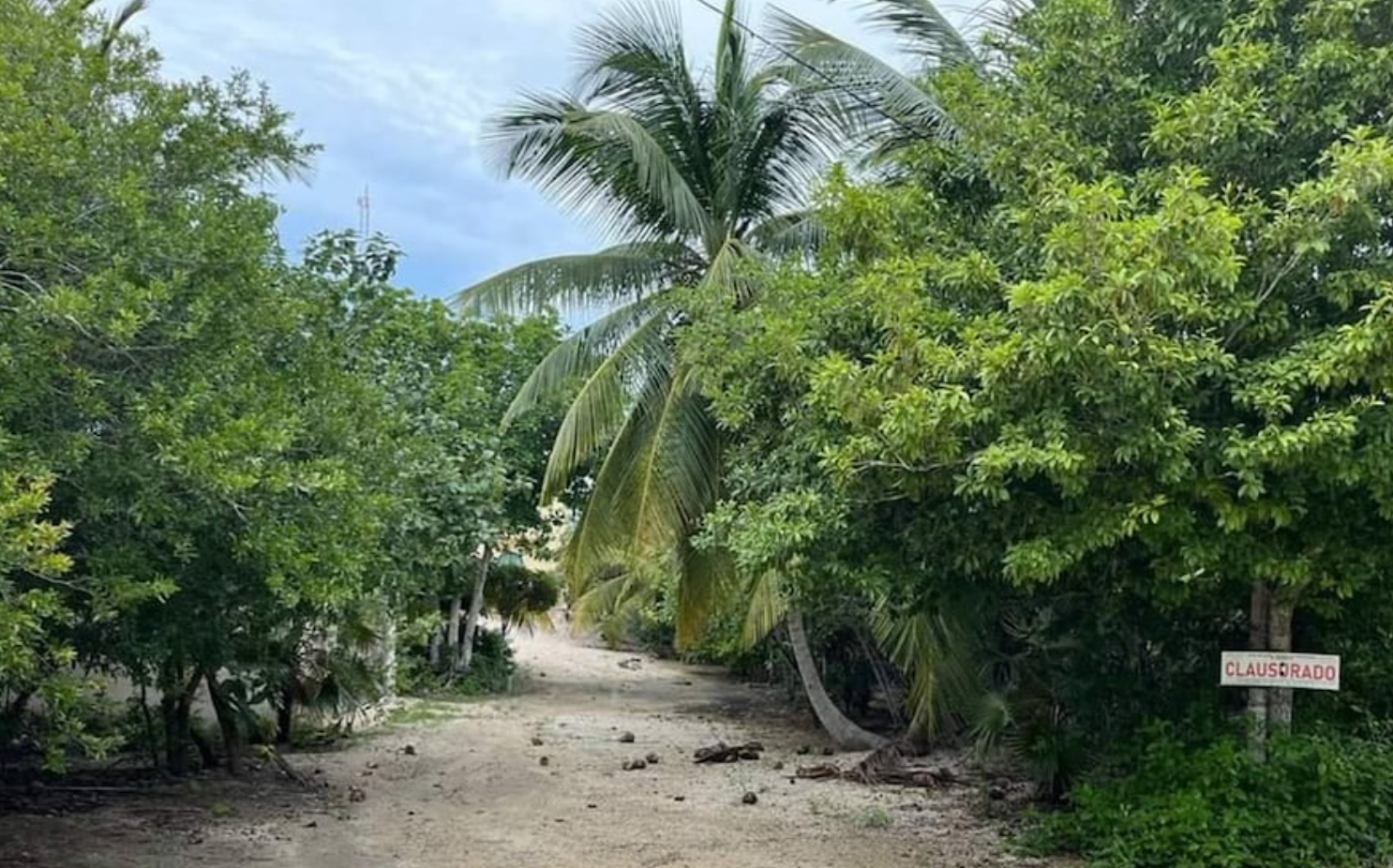 Clausuran proyectos turísticos en Sisal, Yucatán